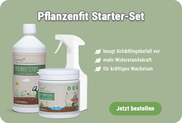 Pflanzenfit kaufen