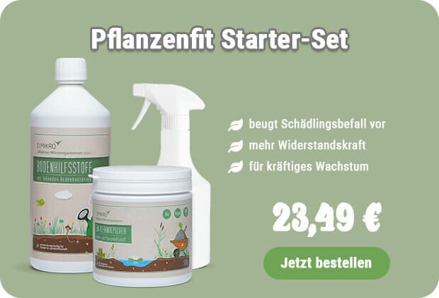 Pflanzenfit kaufen