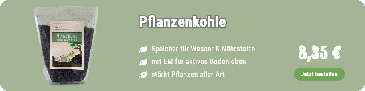 Pflanzenkohle kaufen