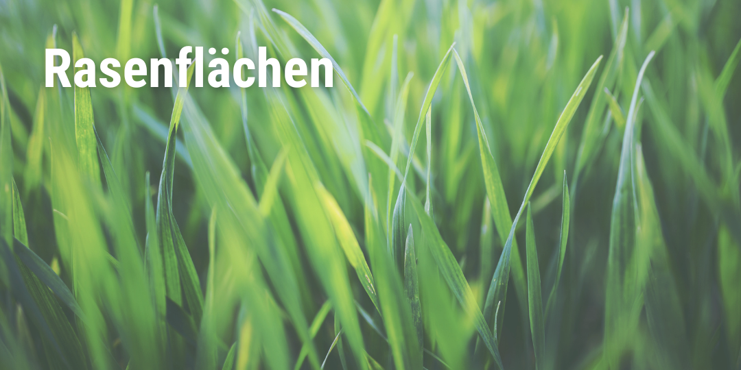 Rasenfläche