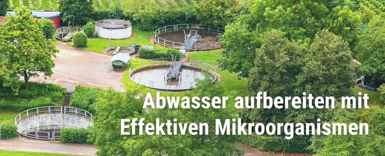 Abwasser reinigen mit Mikroorganismen
