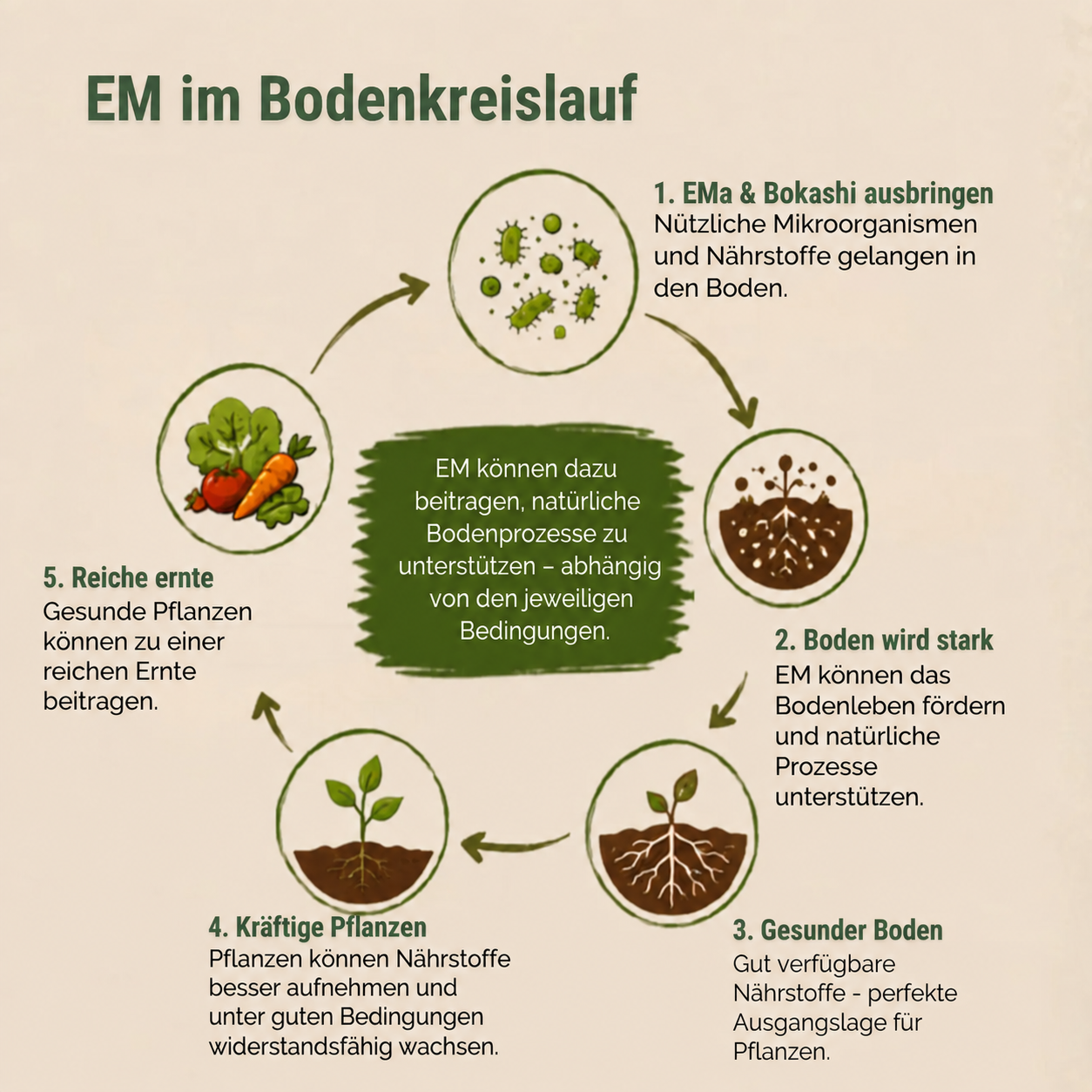 EM-Produkte für den Boden