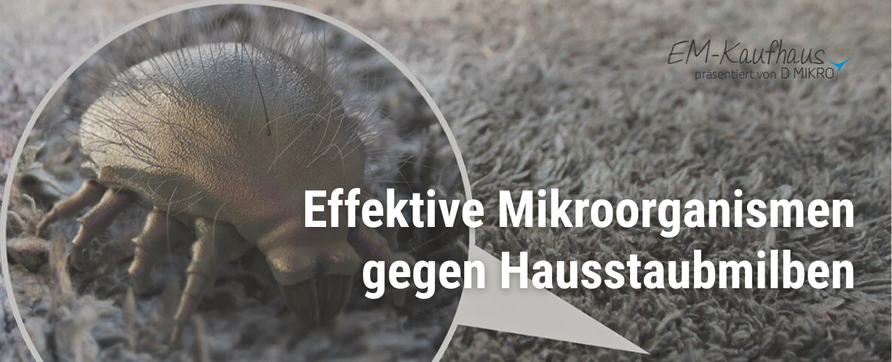 Hausstaubmilben nachhaltig bekämpfen