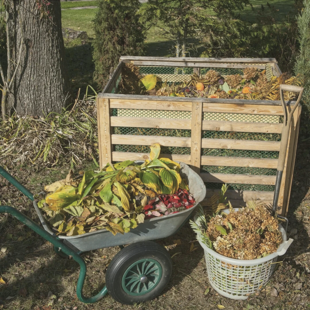 Sandboden verbessern mit Kompost