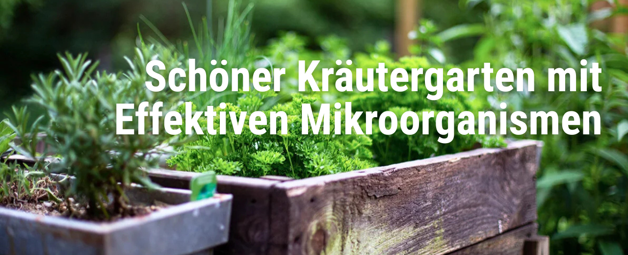 Kräuter auf dem Balkon