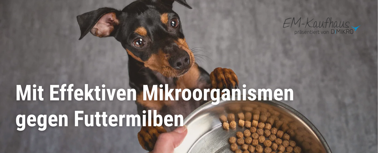 Futtermilben schnell loswerden