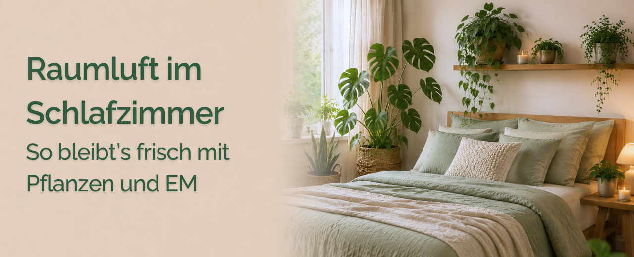 Pflanzen fürs Schlafzimmer