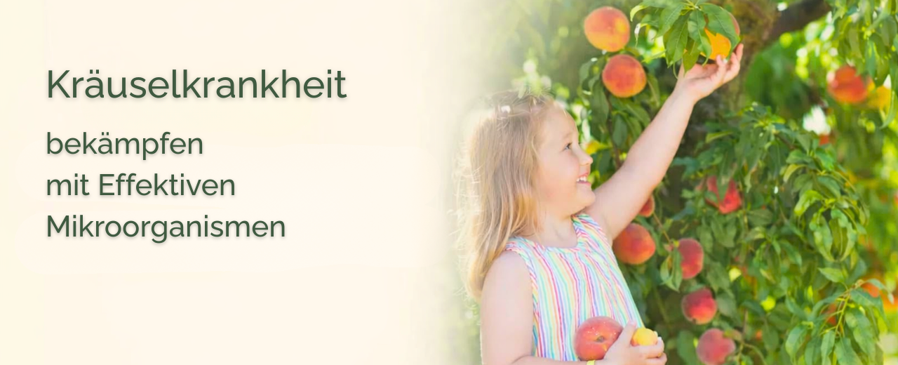 Kräuselkrankheit biologisch bekämpfen