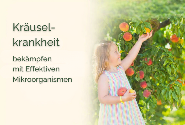 Kräuselkrankheit biologisch bekämpfen