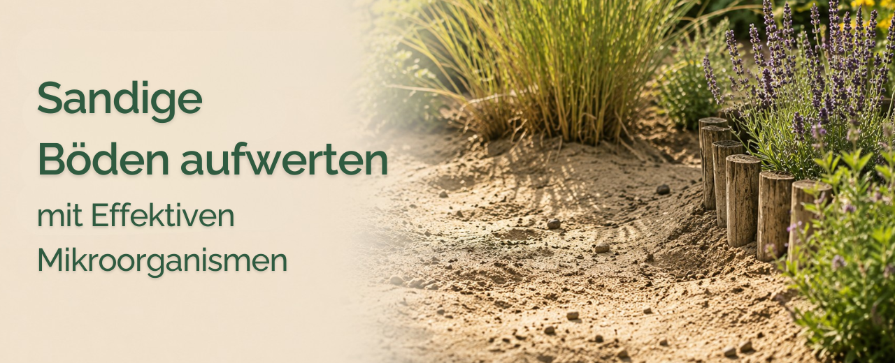 Sandboden verbessern