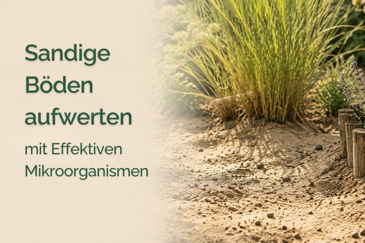 Sandboden verbessern