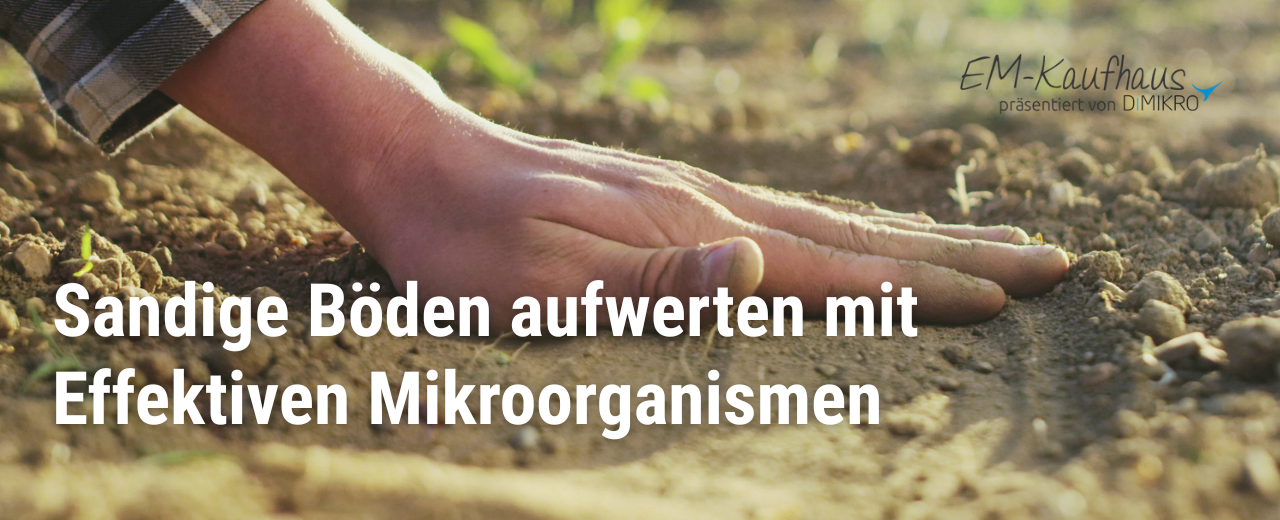 Sandboden verbessern