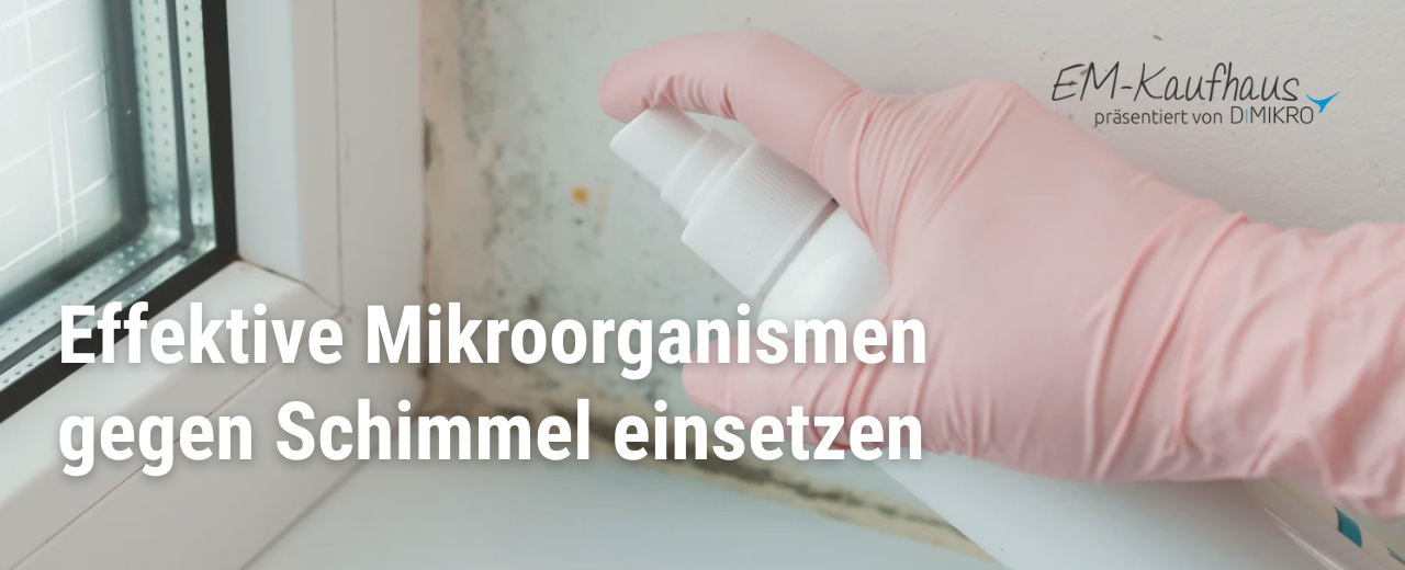 Schimmel entfernen mit Effektiven Mikroorganismen