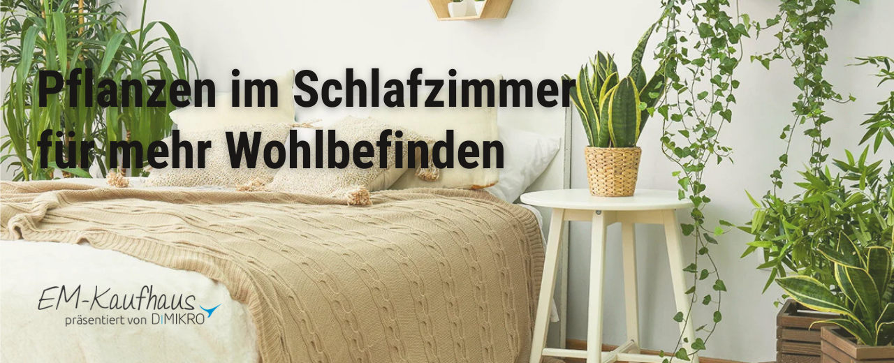 Pflanzen fürs Schlafzimmer