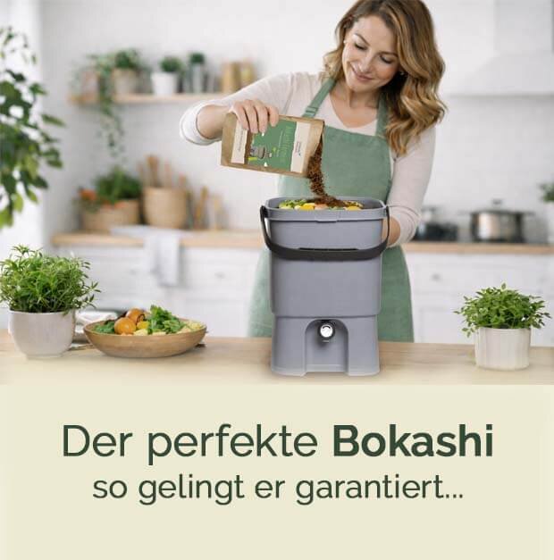 Bokashi-Fehler vermeiden