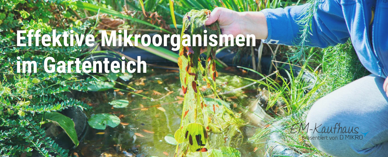 Natürlich Algen & Schlamm loswerden