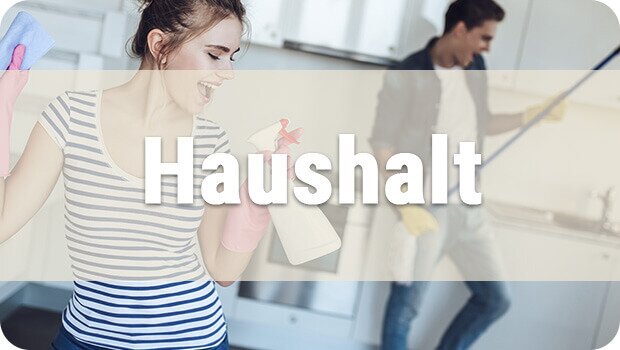 Haushalt