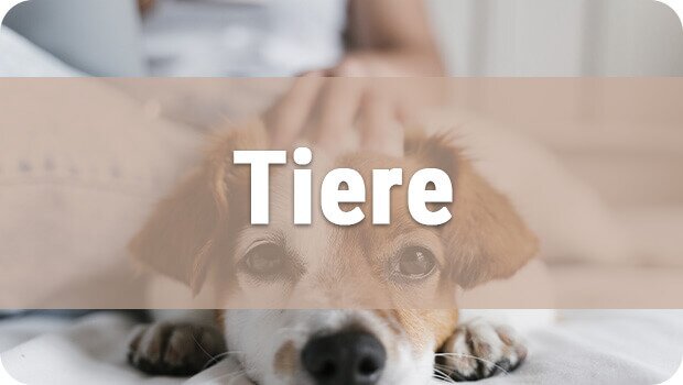 Tiere