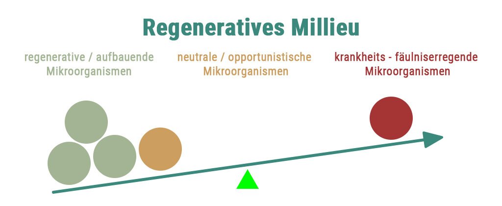 regeneratives Milieu