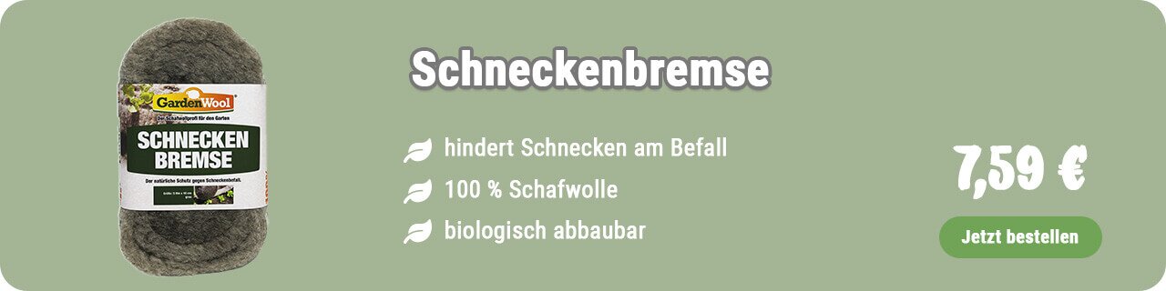 Schneckenbremse kaufen
