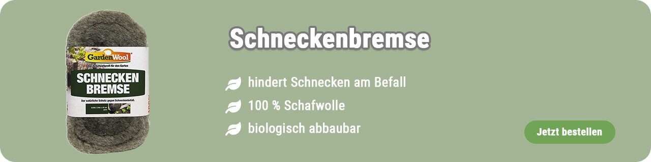 Schneckenbremse kaufen