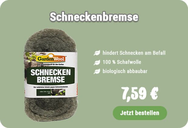 Schneckenbremse kaufen