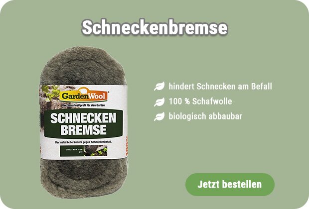 Schneckenbremse kaufen