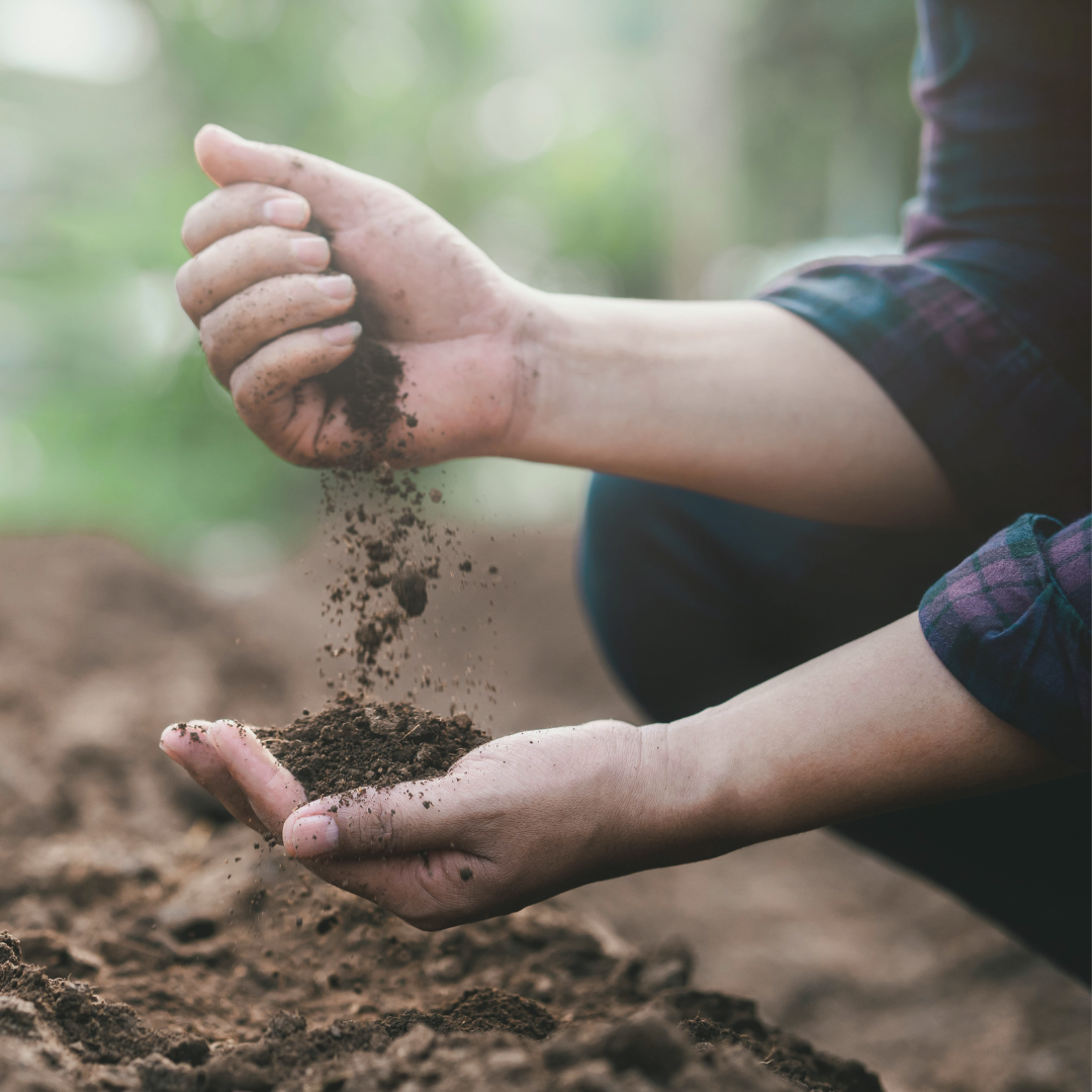 Boden verbessern mit Urgesteinsmehl – natürliche Mineralien für gesunden Gartenboden