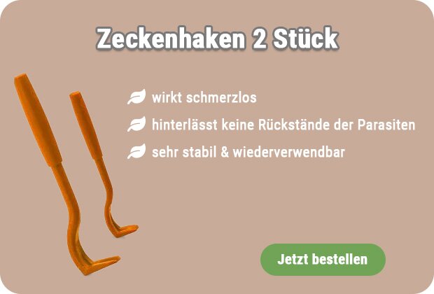 Zeckenhaken kaufen