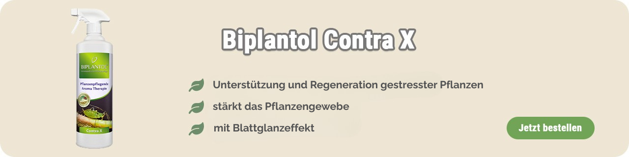 Mittel gegen Trauermücken kaufen