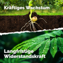 Pflanzenglück - veganer Volldünger 3 kg