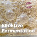EMa Fermenter 3 Liter