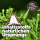 EMa-Fermenter Einsteigerset