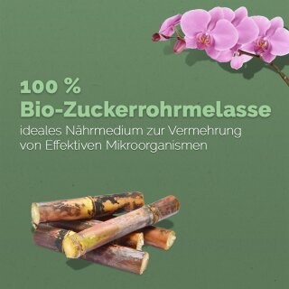 aloe vera hair care Aloe Oil Controlling Shampoo