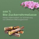 Bio-Melasse aus Zuckerrohr 5 Liter