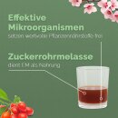 Ursprung - Effektive Mikroorganismen Urlösung 5 l