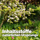 Ursprung - Effektive Mikroorganismen Urlösung