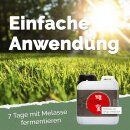 Ursprung - Effektive Mikroorganismen Urlösung