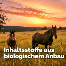 Mikrobiota Horse 3 kg - Fermentiertes...