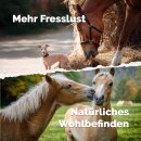 Mikrobiota Horse 3 kg - Fermentiertes Ergänzungsfuttermittel für Pferde in Bio-Qualität