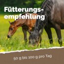 Mikrobiota Horse 3 kg - Fermentiertes Ergänzungsfuttermittel für Pferde in Bio-Qualität