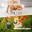 Mikrobiota Pets in Bio-Qualität