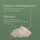 Biolit Urgesteinsmehl aus Diabas-Vulkangestein 6 kg