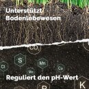 Biolit Urgesteinsmehl aus Diabas-Vulkangestein 6 kg