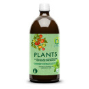 Plants 1 Liter