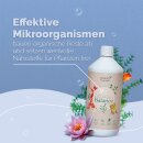 AquaBioBalance - Teich- und Fischpflege