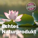AquaBioBalance Teichpflege - 1 Liter