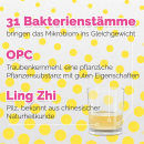 Mikrobiota – Nahrungsergänzung mit lebenden Mikroorganismen – 500 Milliliter