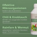 Fermentierter Chili-Knoblauch-Extrakt