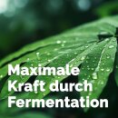 Fermentierter Chili-Knoblauch-Extrakt